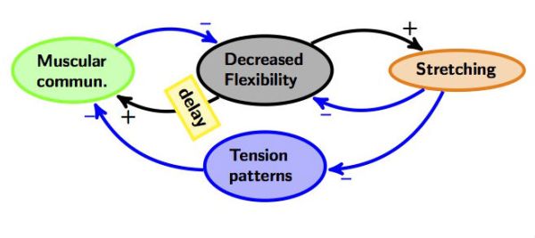 Sytomatic Stretch Systemic archetypes: Shifting The Burden. | running in systems